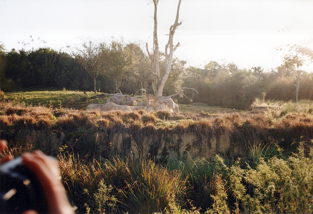 1999 - Floride 10.jpg